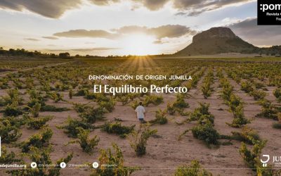 “El Equilibrio Perfecto”, título del spot documental que presenta el C.R. de la D.O.P. Jumilla