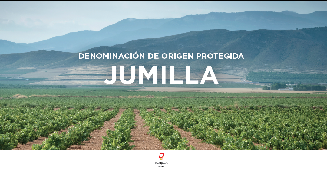 El CRDOP Jumilla se incorpora a FIVIN en pro de la divulgación de los aspectos beneficiosos sobre la salud del consumo moderado de vino