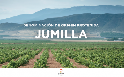 El CRDOP Jumilla se incorpora a FIVIN en pro de la divulgación de los aspectos beneficiosos sobre la salud del consumo moderado de vino