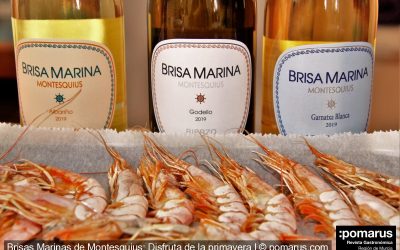 Brisas Marinas de Montesquius: Disfruta de la primavera