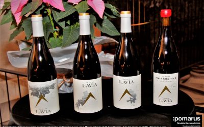 La Familia Miñano Gómez, MGWines, presenta la nueva gama de vinos de Bodegas Lavia en el Museo del Vino de Bullas