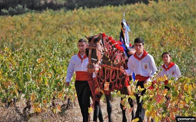 Renovación del convenio de colaboración entre El Bando de los Caballos del Vino de Caravaca de la Cruz y la D.O.P. Bullas