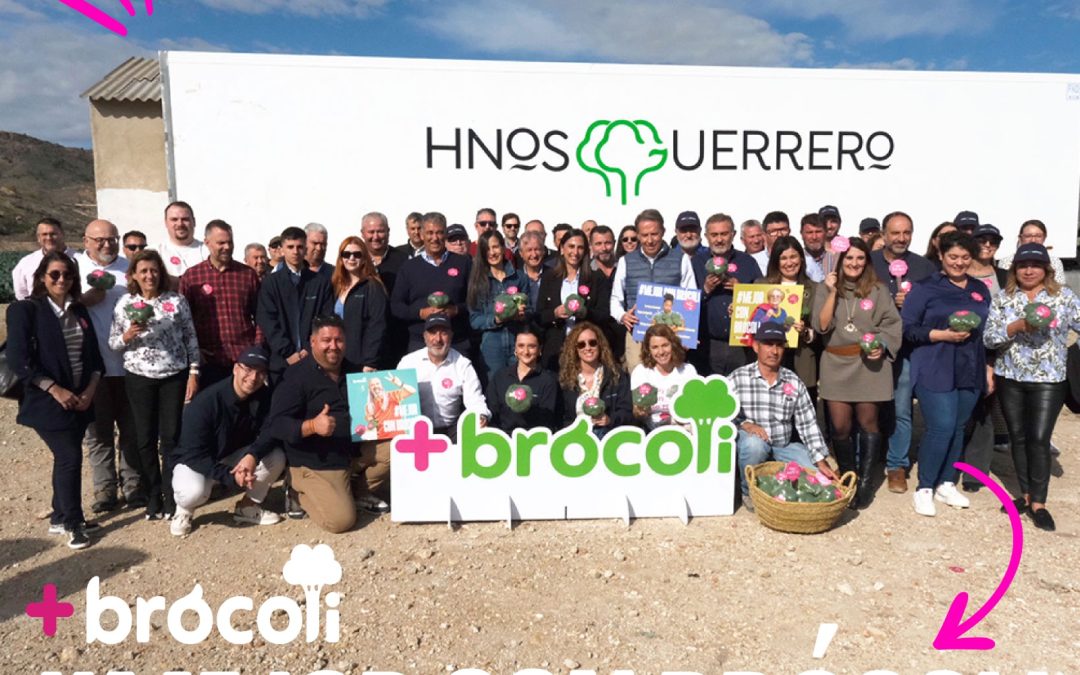 Arranca la XX campaña nacional de promoción del brócoli bajo el lema “Mejor con brócoli”