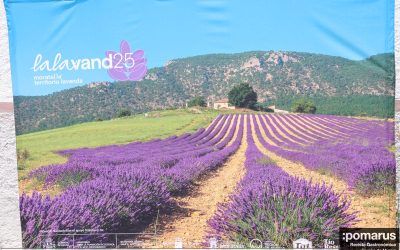 El “Territorio Lavanda” se dejó conocer en una jornada para saborear la naturaleza de Moratalla
