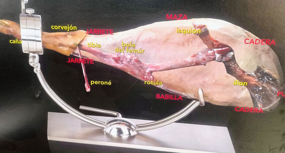 Pablo Martínez cortó y explicó el jamón con maestría en la III Cata Integrar del Nordeste