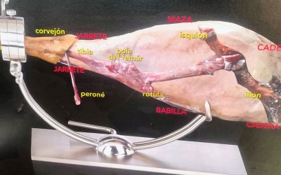 Pablo Martínez cortó y explicó el jamón con maestría en la III Cata Integrar del Nordeste